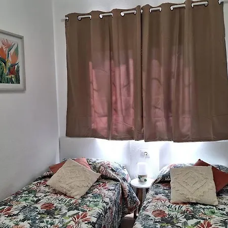 Tropical - Heated Pool Palm-mar