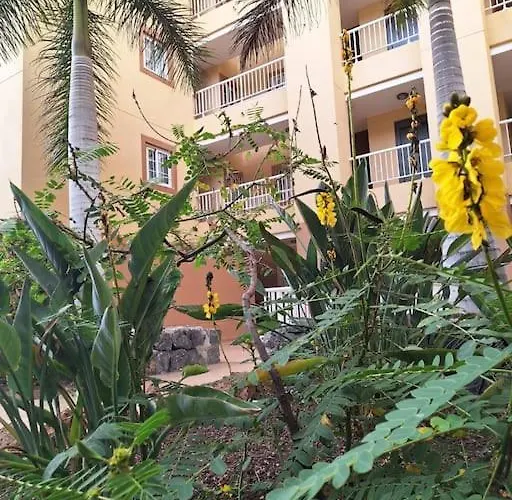 Tropical - Heated Pool Lejlighed Palm-mar