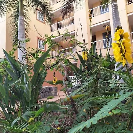 Tropical - Heated Pool Апартаменты Эль-Пальмар